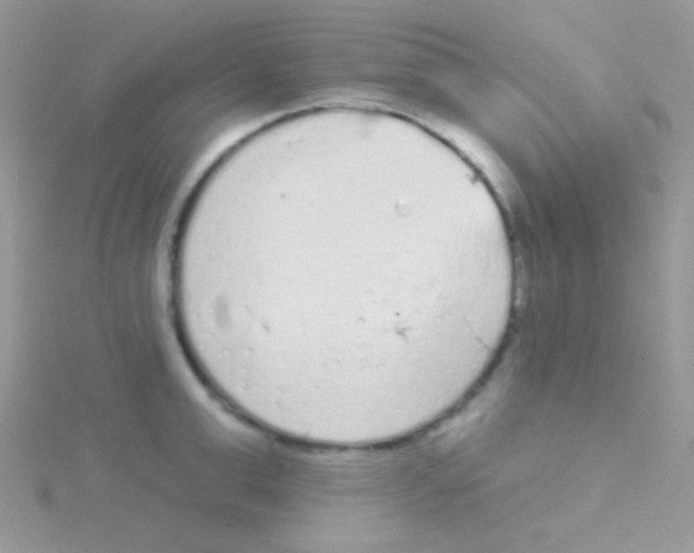 X0000115050999200911231150