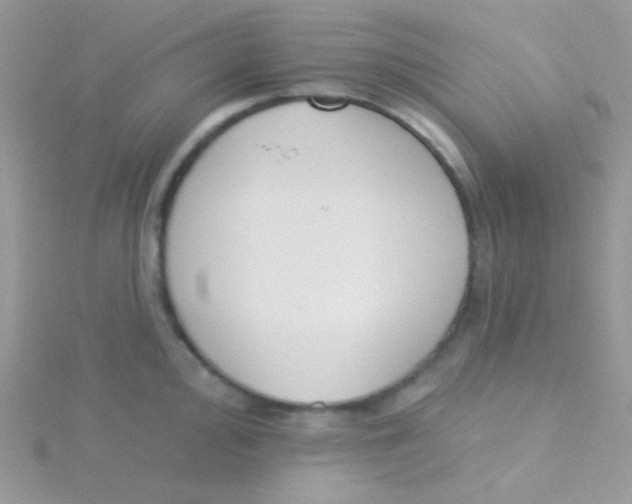 X0000115051000200911231149