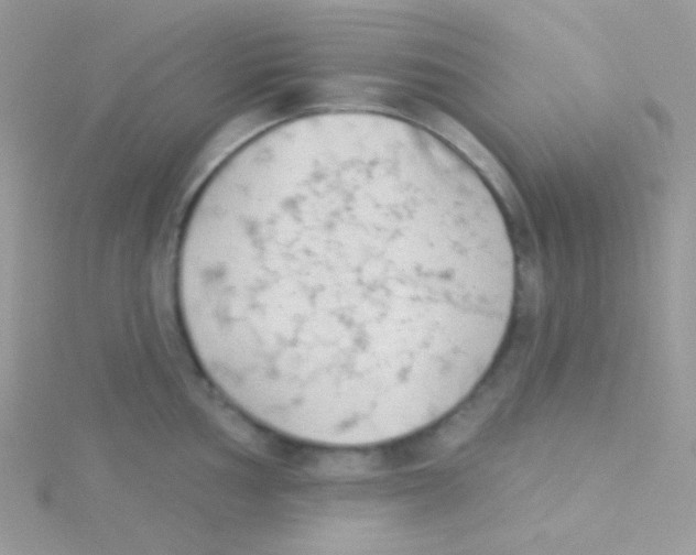 X0000115051002200911231149