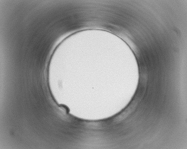 X0000115051004200911231149