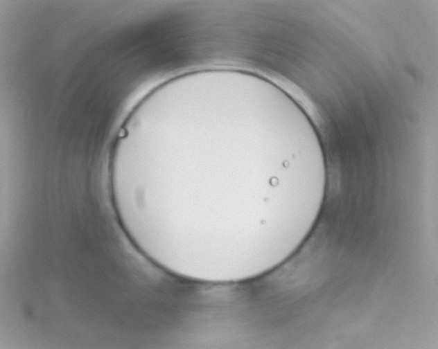 X0000115051006200911231149