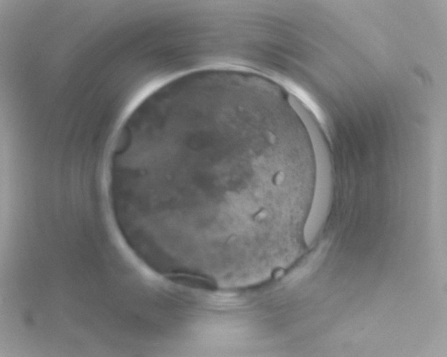 X0000115051007200911231149