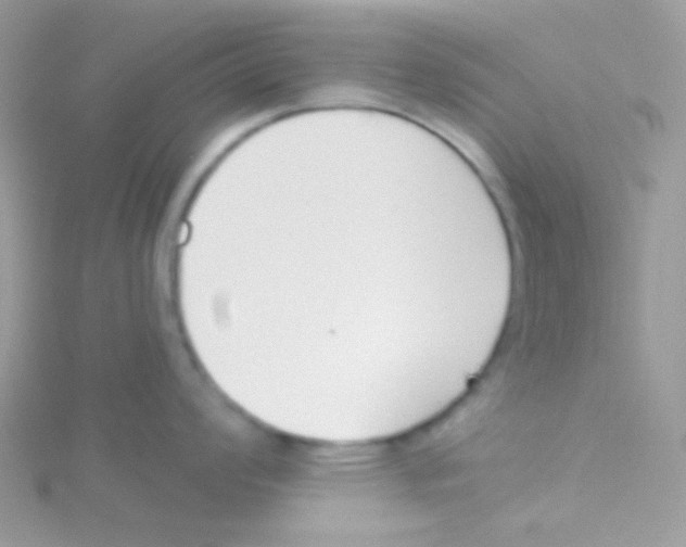 X0000115051008200911231149