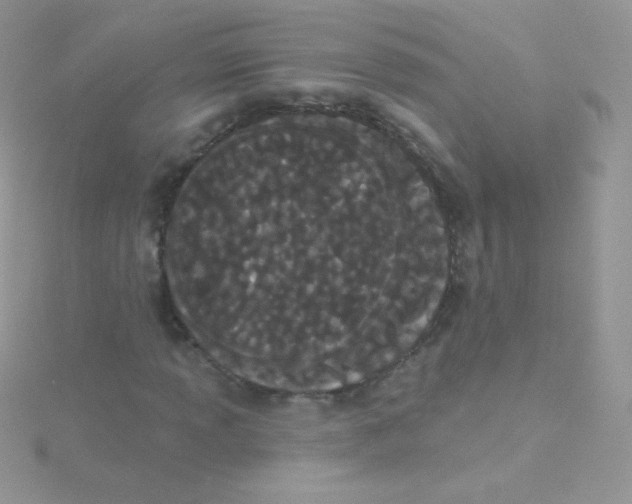 X0000115051013200911231149