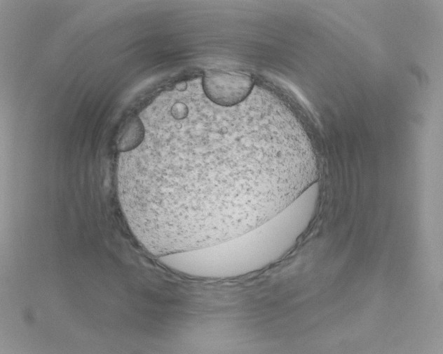 X0000115051016200911231149