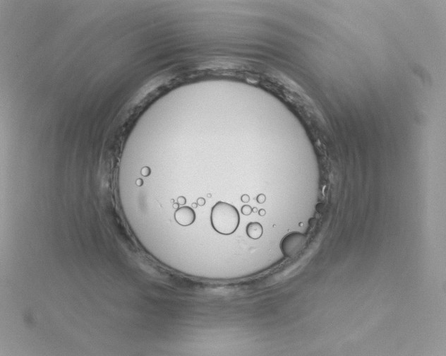 X0000115051017200911231149