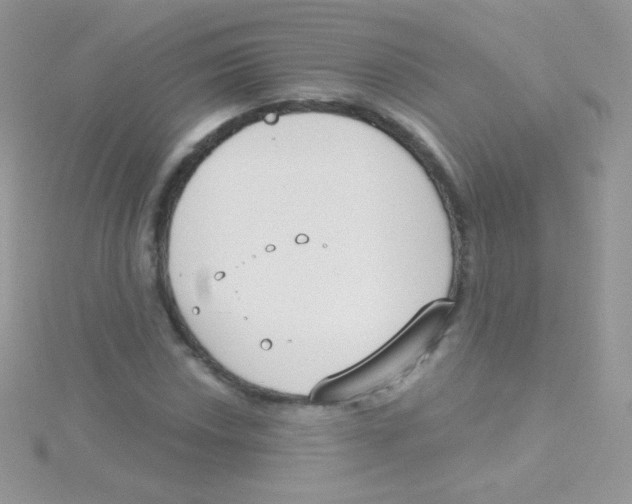 X0000115051018200911231149