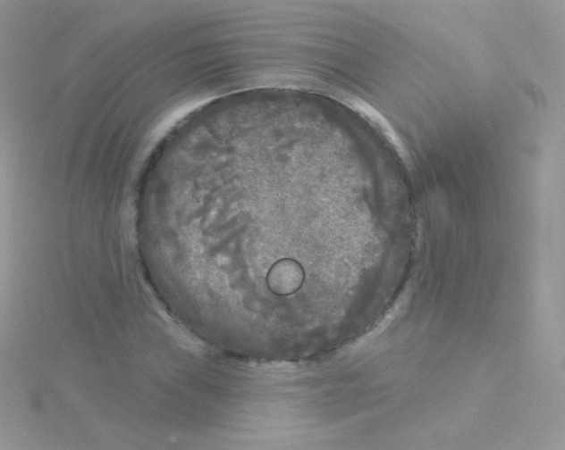 X0000115051019200911231149