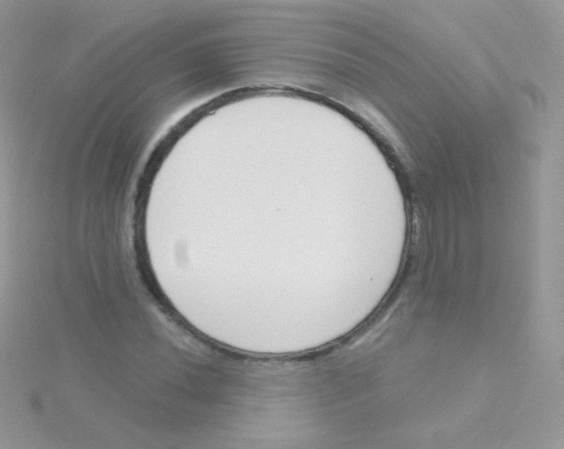 X0000115051020200911231149