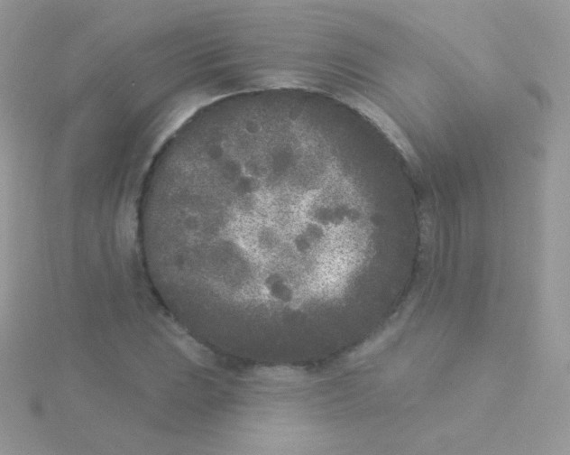 X0000115051023200911231149