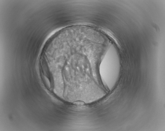 X0000115051024200911231149