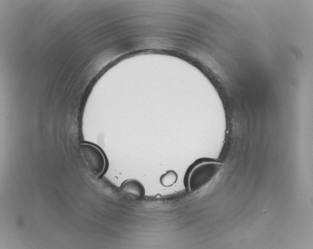 X0000115051025200911231149