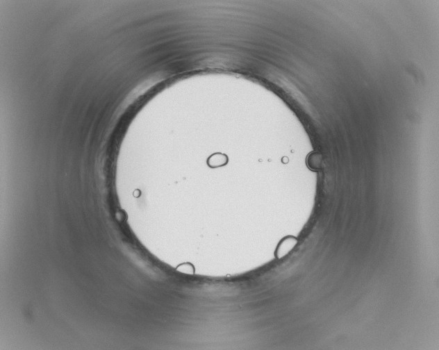 X0000115051026200911231149