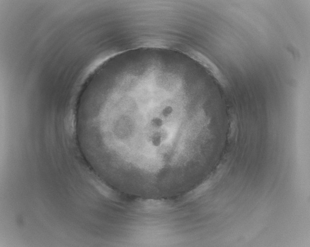 X0000115051027200911231149