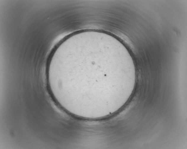 X0000115051030200911231149