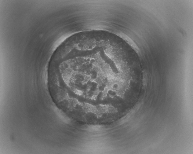 X0000115051031200911231149