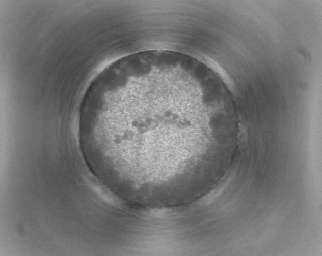 X0000115051035200911231149