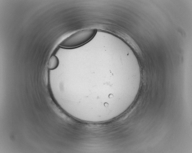 X0000115051036200911231149