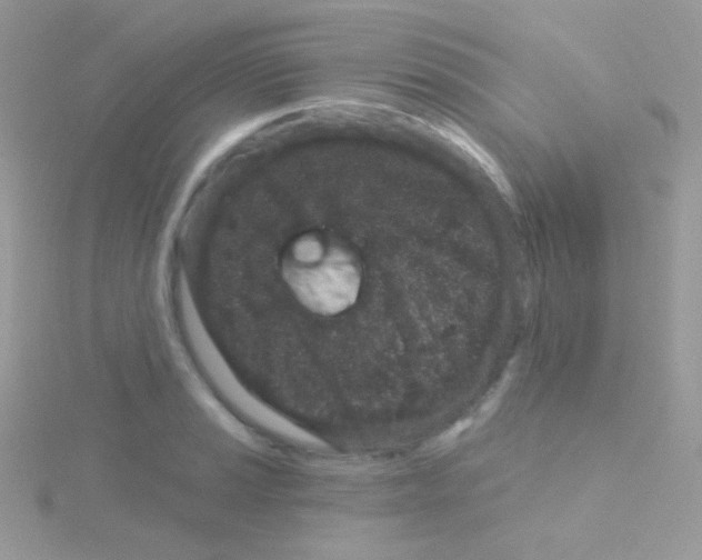 X0000115051037200911231149