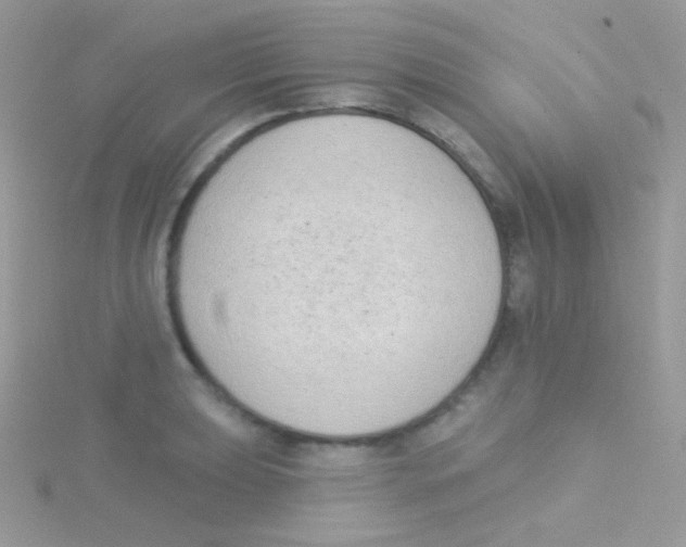 X0000115051039200911231149