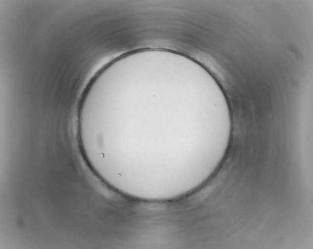 X0000115051040200911231149