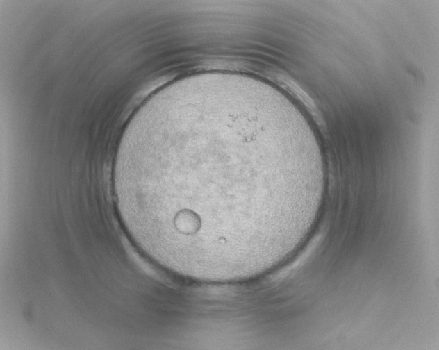 X0000115051041200911231149