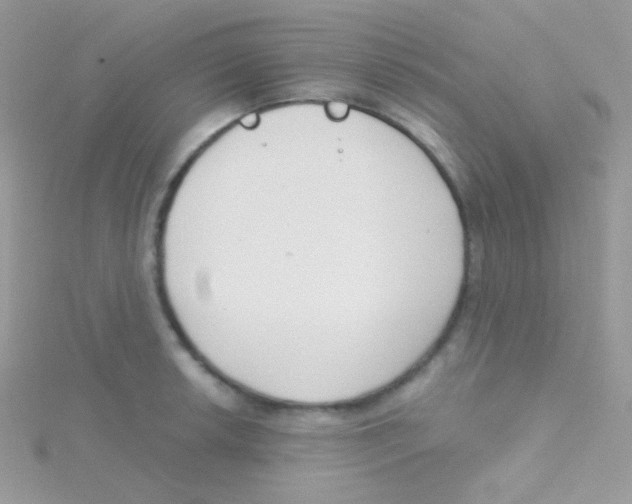 X0000115051042200911231149