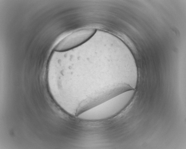 X0000115051044200911231149