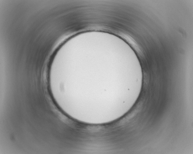 X0000115051046200911231149