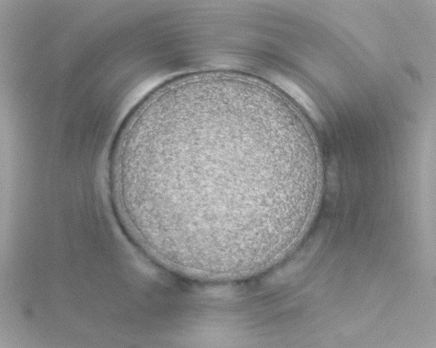 X0000115051047200911231149