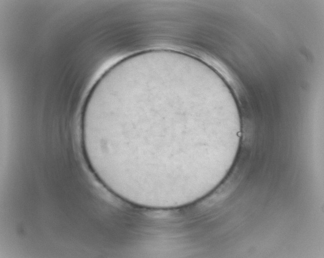 X0000115051048200911231149