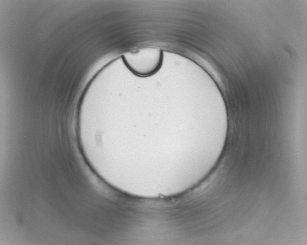 X0000115051050200911231149