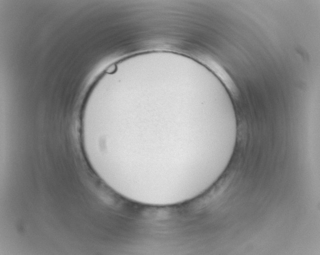 X0000115051051200911231149