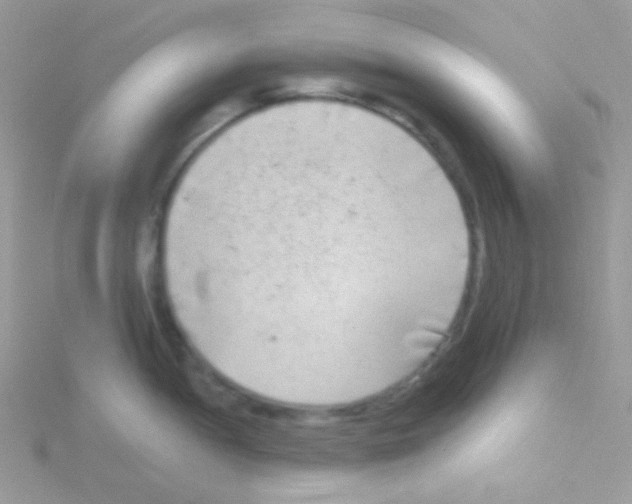 X0000115051052200911231149