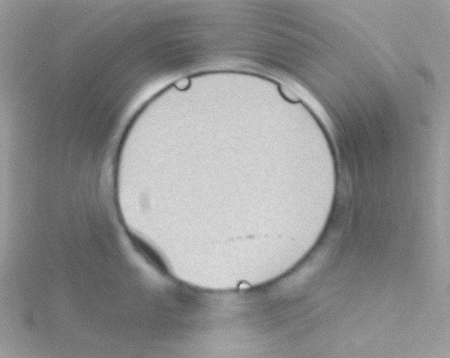 X0000115051053200911231149