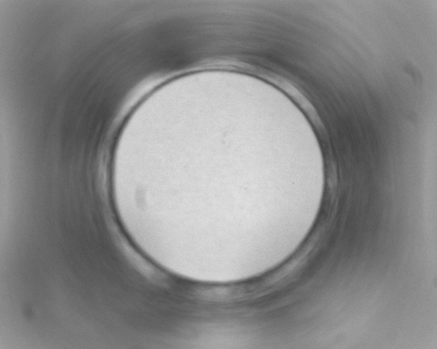 X0000115051054200911231149