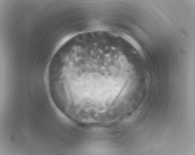 X0000115051055200911231149