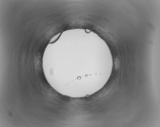 X0000115051059200911231149