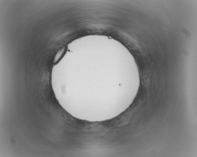 X0000115051061200911231149