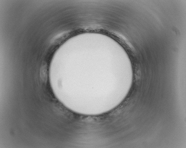 X0000115051063200911231149