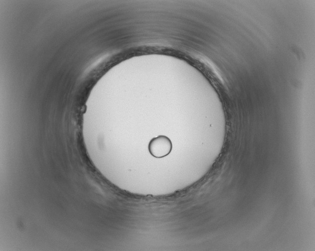 X0000115051064200911231149