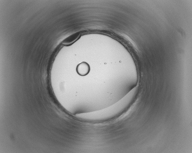 X0000115051065200911231148