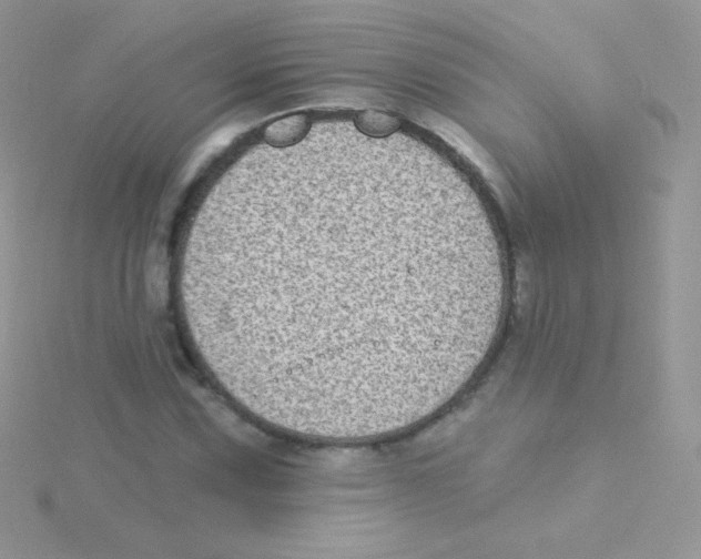 X0000115051067200911231148