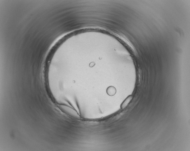 X0000115051068200911231148