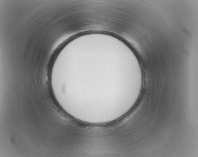 X0000115051070200911231148