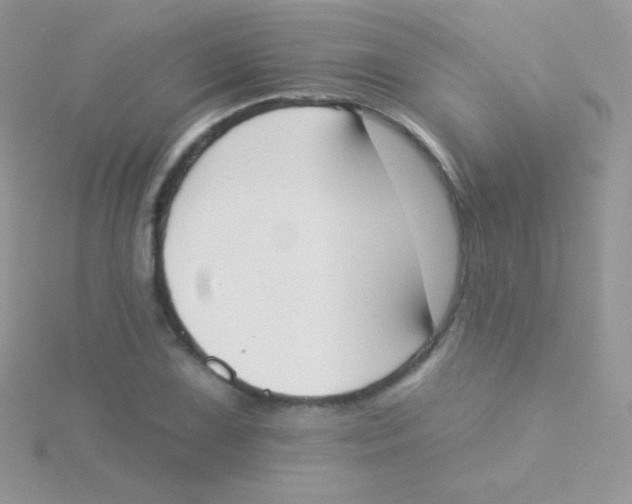 X0000115051075200911231148