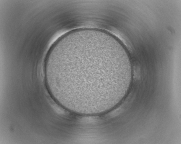 X0000115051078200911231148