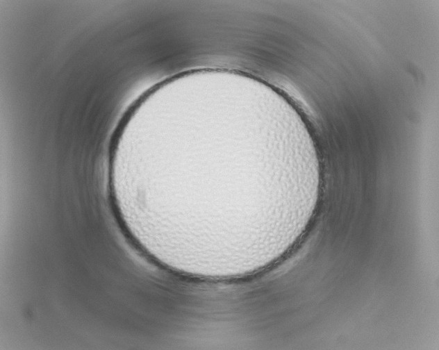 X0000115051079200911231148