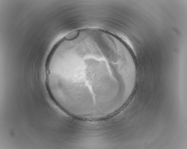 X0000115051080200911231148