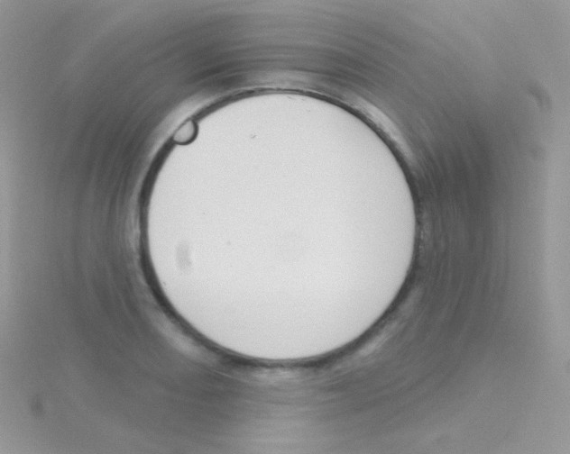 X0000115051082200911231148